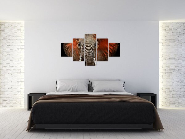 Obraz - Sloni z Tsavo (125x70 cm)