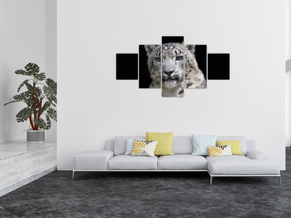 Obraz - Levhart sněžný (125x70 cm)