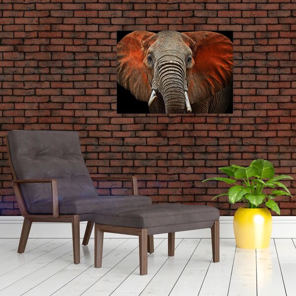 Obraz - Sloni z Tsavo (70x50 cm)