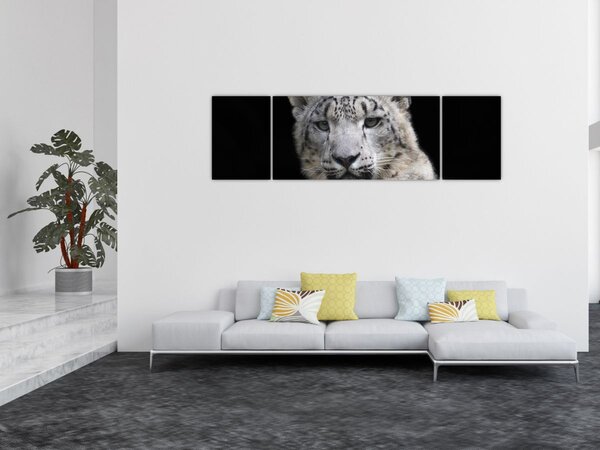 Obraz - Levhart sněžný (170x50 cm)