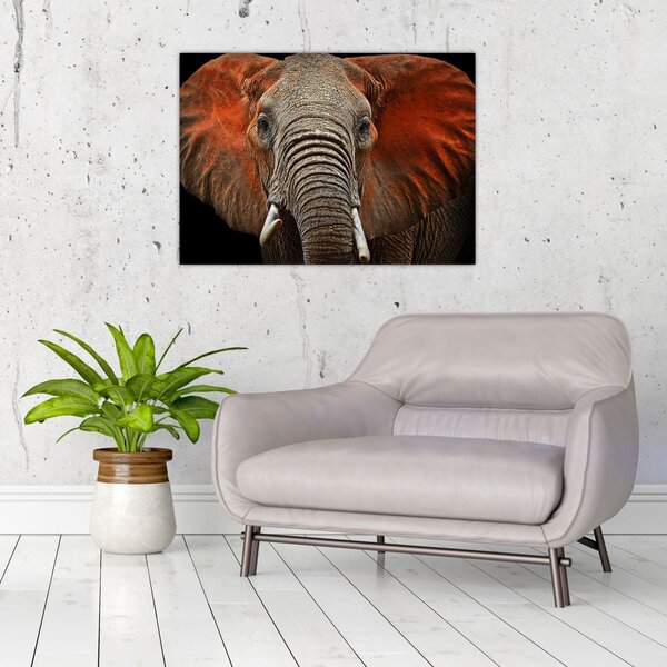 Obraz - Sloni z Tsavo (70x50 cm)