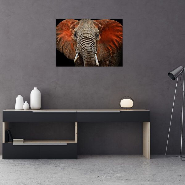 Obraz - Sloni z Tsavo (70x50 cm)