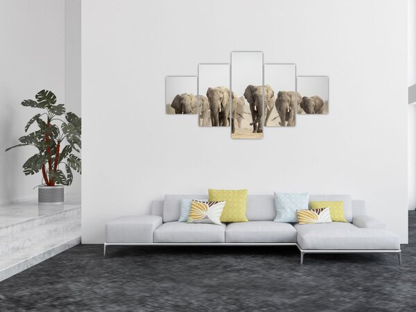 Obraz - Sloní stádo (125x70 cm)