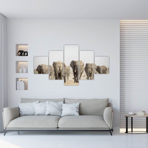 Obraz - Sloní stádo (125x70 cm)