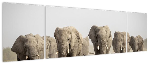 Obraz - Sloní stádo (170x50 cm)