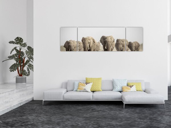 Obraz - Sloní stádo (170x50 cm)