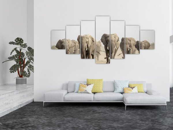 Obraz - Sloní stádo (210x100 cm)