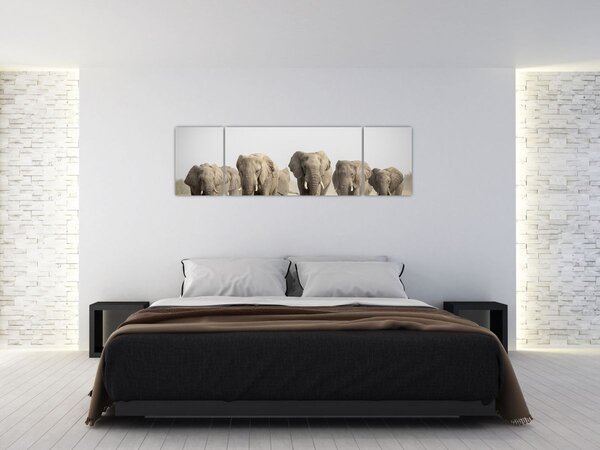 Obraz - Sloní stádo (170x50 cm)