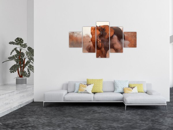 Obraz - Velký slon africký (125x70 cm)