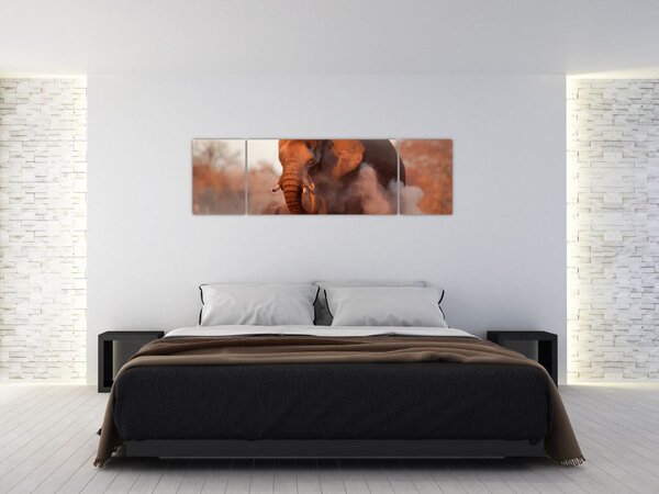 Obraz - Velký slon africký (170x50 cm)