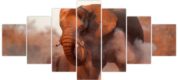 Obraz - Velký slon africký (210x100 cm)