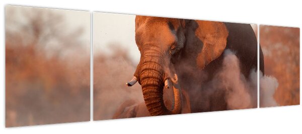 Obraz - Velký slon africký (170x50 cm)