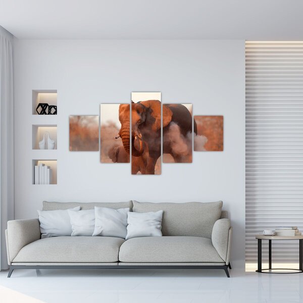 Obraz - Velký slon africký (125x70 cm)