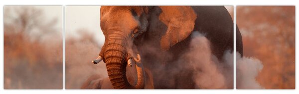 Obraz - Velký slon africký (170x50 cm)