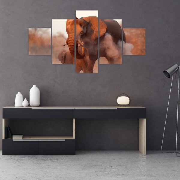 Obraz - Velký slon africký (125x70 cm)