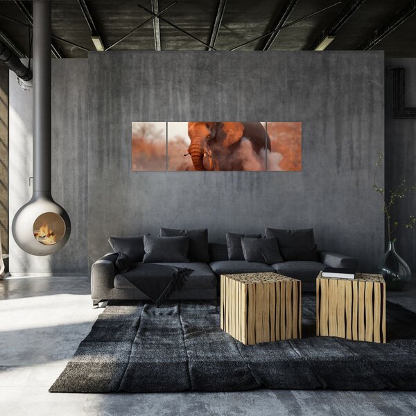 Obraz - Velký slon africký (170x50 cm)