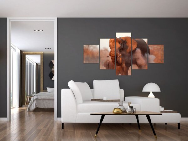 Obraz - Velký slon africký (125x70 cm)