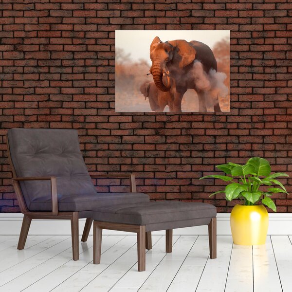 Obraz - Velký slon africký (70x50 cm)