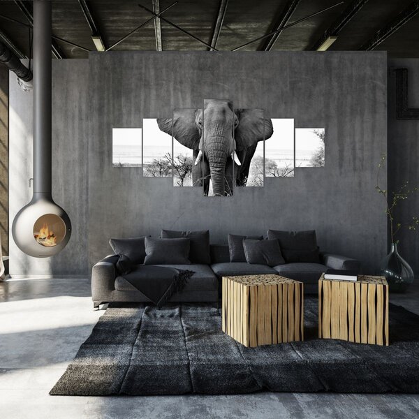 Obraz - Slon africký II. (210x100 cm)