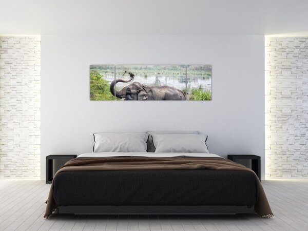 Obraz - Koupající se slon (170x50 cm)