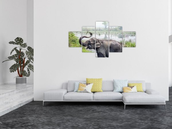 Obraz - Koupající se slon (125x70 cm)
