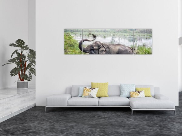 Obraz - Koupající se slon (170x50 cm)