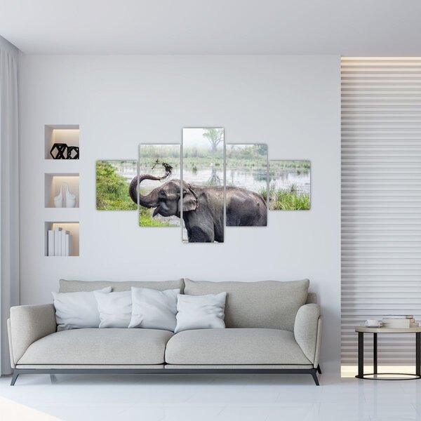 Obraz - Koupající se slon (125x70 cm)