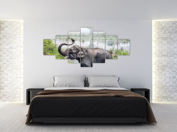 Obraz - Koupající se slon (210x100 cm)