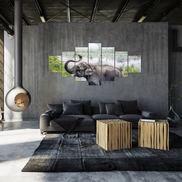 Obraz - Koupající se slon (210x100 cm)