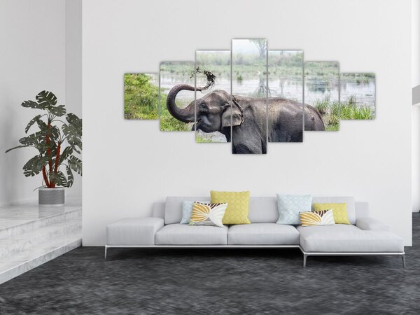 Obraz - Koupající se slon (210x100 cm)