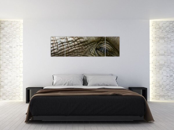 Obraz - Detailní fotografie starého sloního oka (170x50 cm)