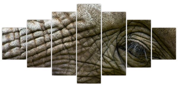 Obraz - Detailní fotografie starého sloního oka (210x100 cm)