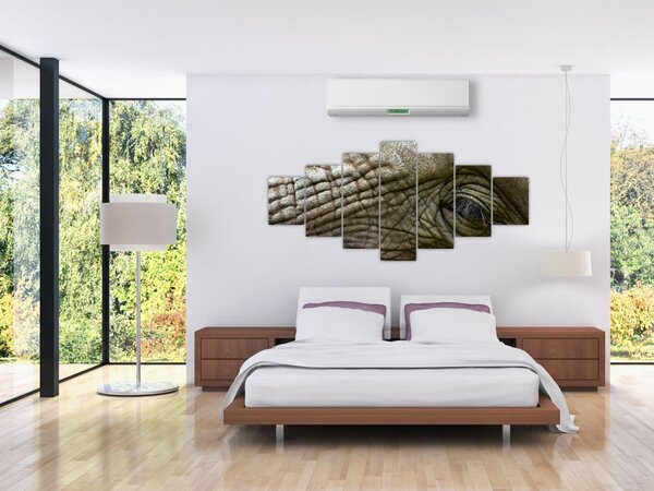 Obraz - Detailní fotografie starého sloního oka (210x100 cm)