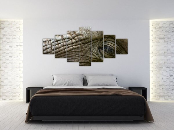 Obraz - Detailní fotografie starého sloního oka (210x100 cm)