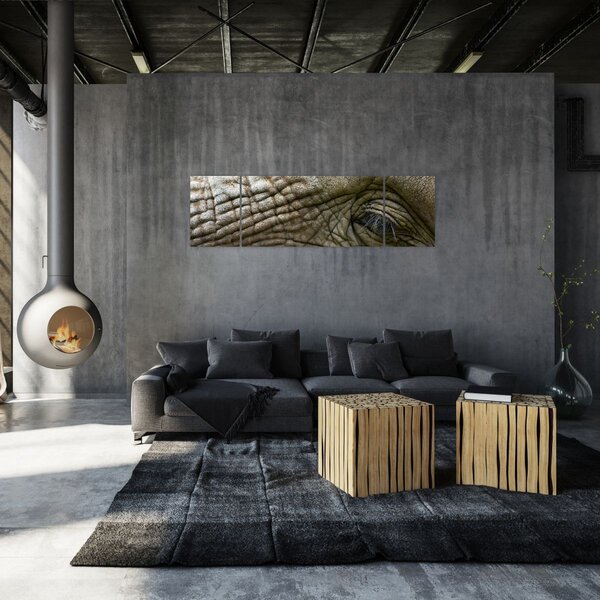 Obraz - Detailní fotografie starého sloního oka (170x50 cm)