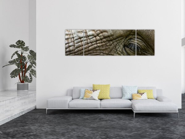 Obraz - Detailní fotografie starého sloního oka (170x50 cm)