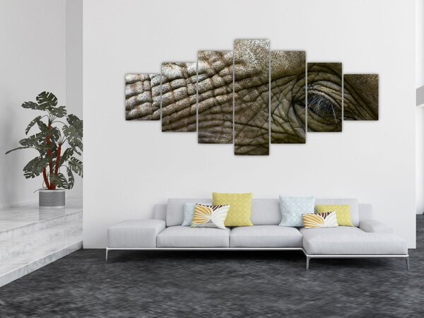 Obraz - Detailní fotografie starého sloního oka (210x100 cm)