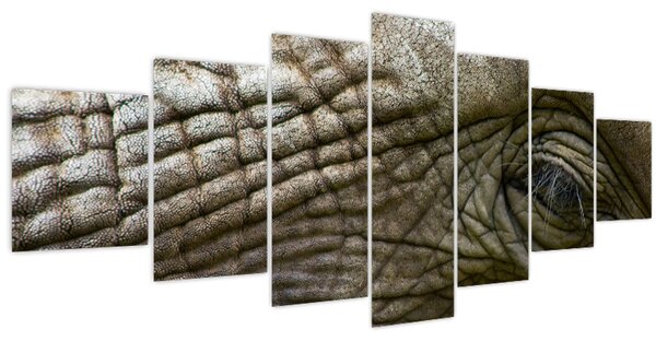 Obraz - Detailní fotografie starého sloního oka (210x100 cm)