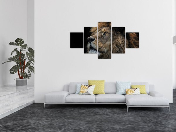 Obraz - Majestátní lev (125x70 cm)