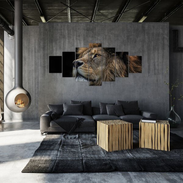 Obraz - Majestátní lev (210x100 cm)