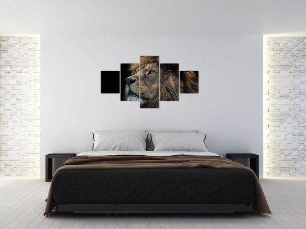 Obraz - Majestátní lev (125x70 cm)