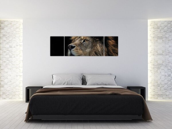 Obraz - Majestátní lev (170x50 cm)