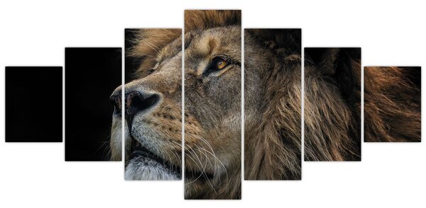 Obraz - Majestátní lev (210x100 cm)