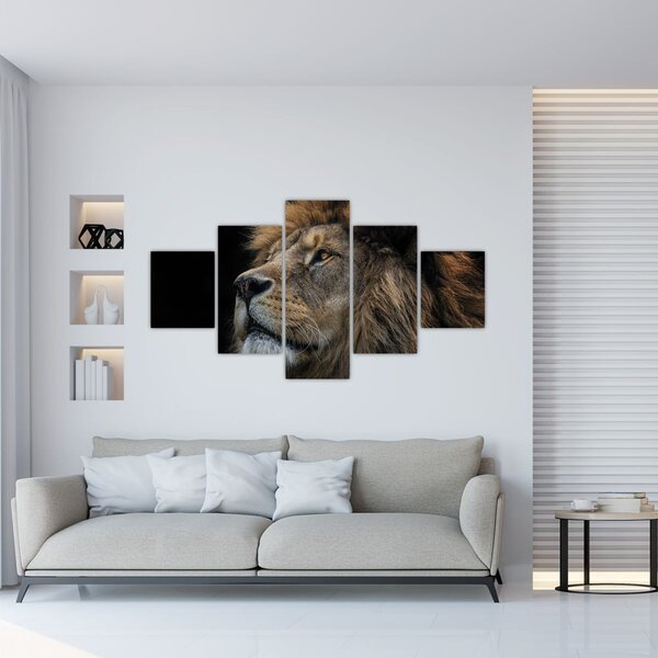 Obraz - Majestátní lev (125x70 cm)