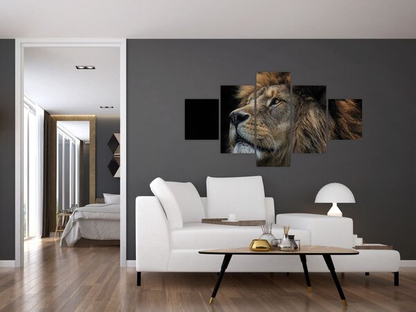 Obraz - Majestátní lev (125x70 cm)