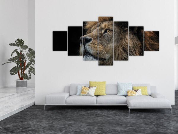 Obraz - Majestátní lev (210x100 cm)