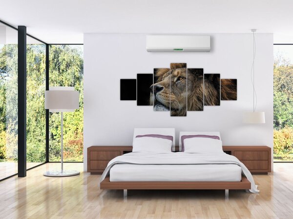 Obraz - Majestátní lev (210x100 cm)