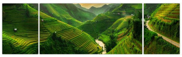 Obraz - Rýžové terasy Mu Cang Chai (170x50 cm)
