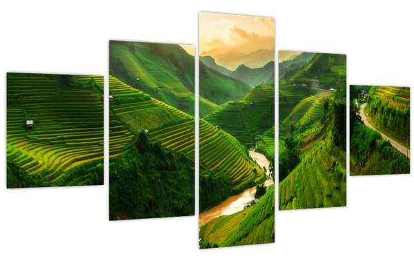 Obraz - Rýžové terasy Mu Cang Chai (125x70 cm)