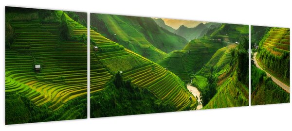 Obraz - Rýžové terasy Mu Cang Chai (170x50 cm)